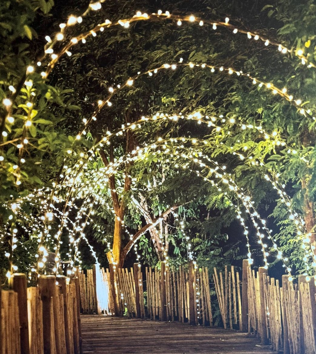 Twinkling Lighted Walkway