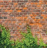Brick With Greenery